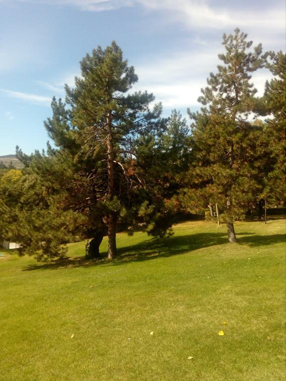 Балнеохотел Роза Strelcha Extérieur photo